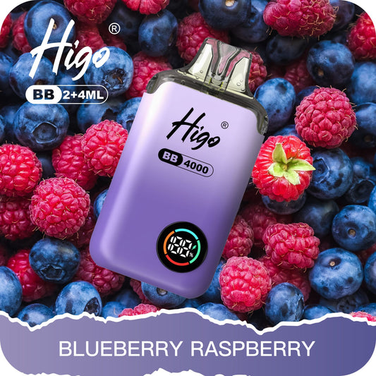 Higo BB 4000 Puffs Pod Kit - Blueberry Raspberry